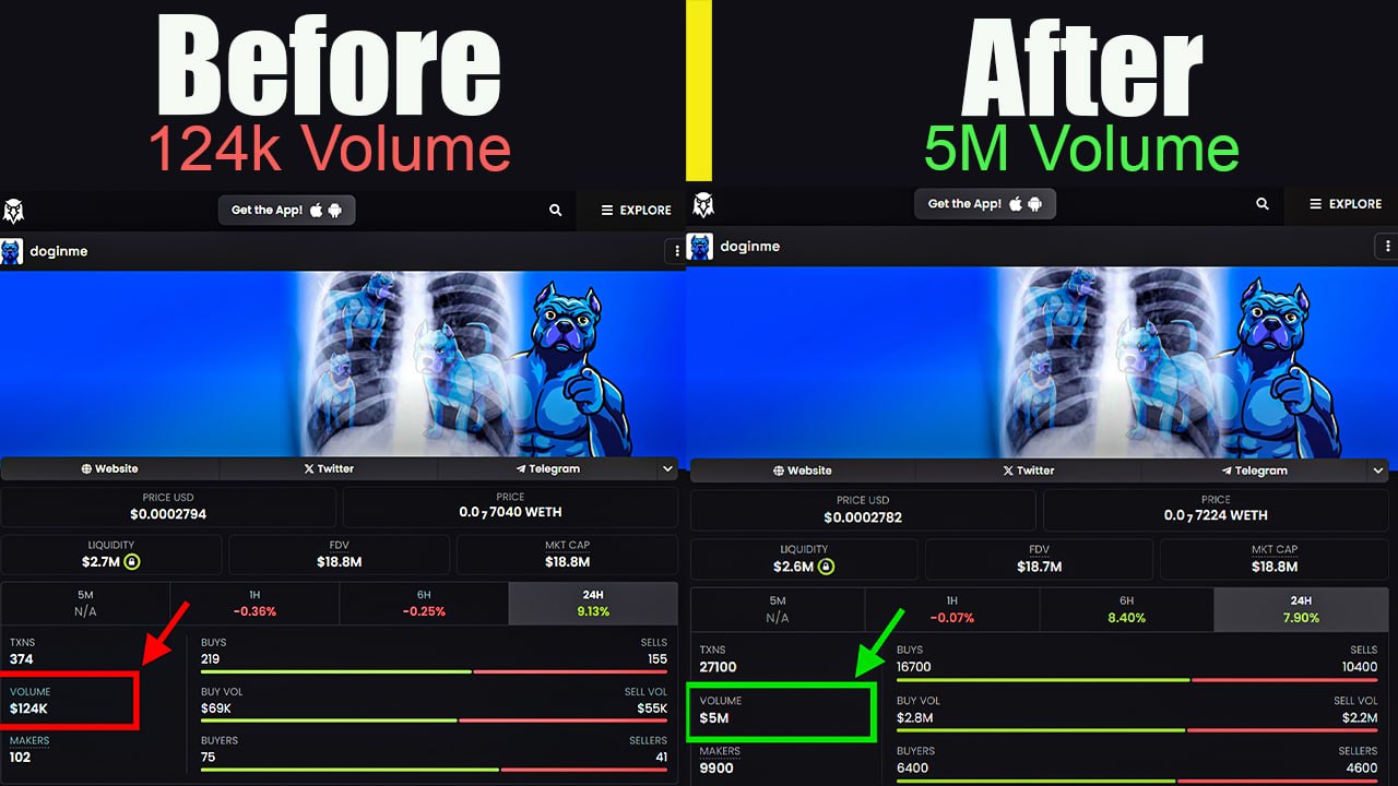 Before and after — Doginme token volume from 124K to 5M on DexScreener